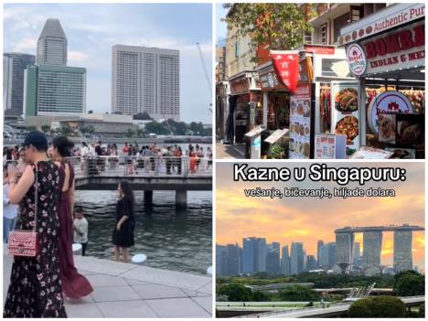 преузимање - 2025-07-31T100615.693.jpg