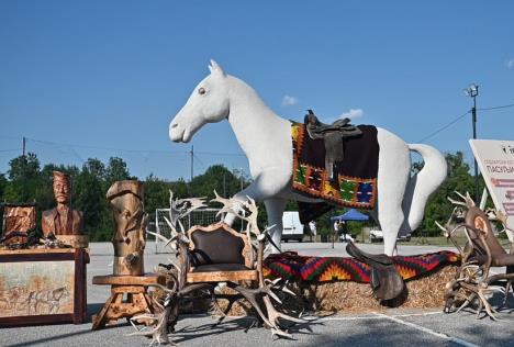 6- foto Milan Tozic.jpg