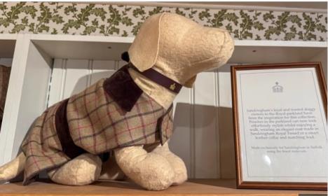 Kralj Čarls napravio odelce za pse.jpg