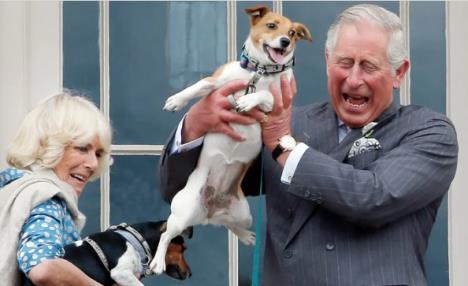 Kraljica Kamila i kralj Čarls sa psom Moli
