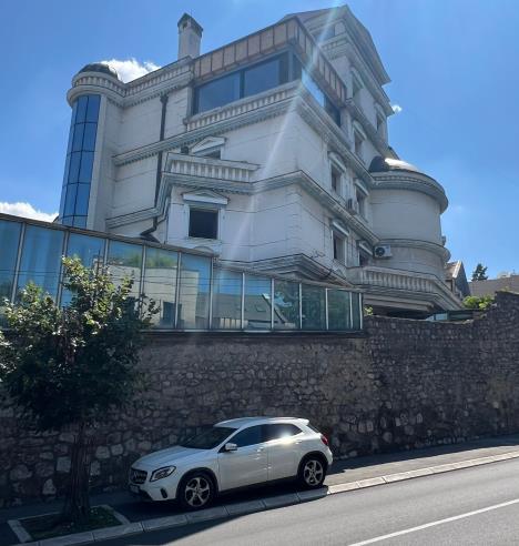 Zid Cecine vile posle posete majstora