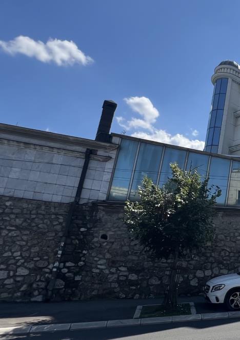 Rešen jedan problem, pa se pojavio drugi na zidu Cecine vile