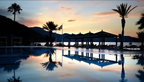 Screenshot 2025-08-03 092713.jpg