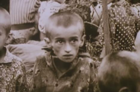 Stara Gradiška, podlogor Jasenovca