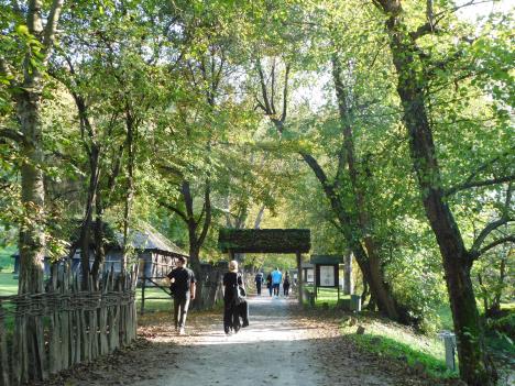 TRŠIĆ - Omiljeno izletište.JPG