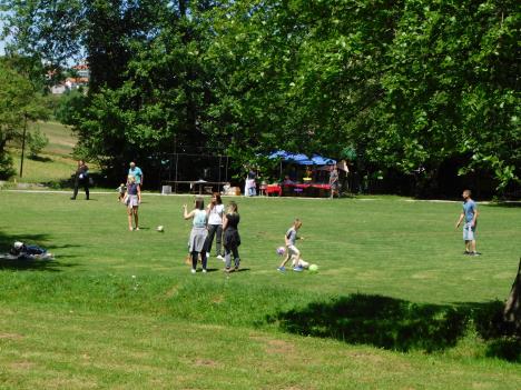 LOZNICA - Uživanje u Tršiću.JPG