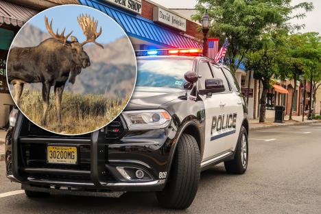 shutterstock_2485179255 copy.jpg