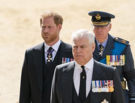 princ hari princ endru profimedia-0724179516.jpg