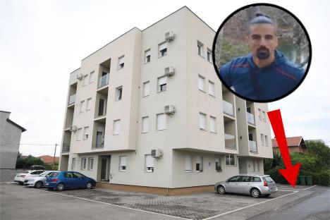Ledine 2.jpg