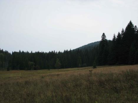 plac-na-tari-mitrovac_3.jpg