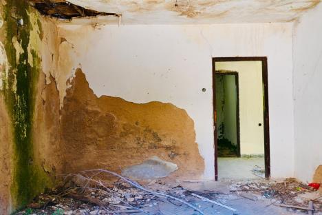 WhatsApp Image 2025-08-04 at 18.37.18.jpeg