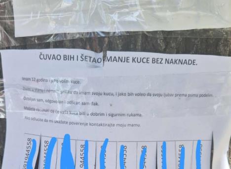 oglas za šetnju psa.jpg