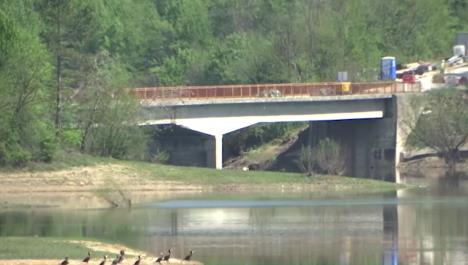 Screenshot 2025-08-05 193253.jpg