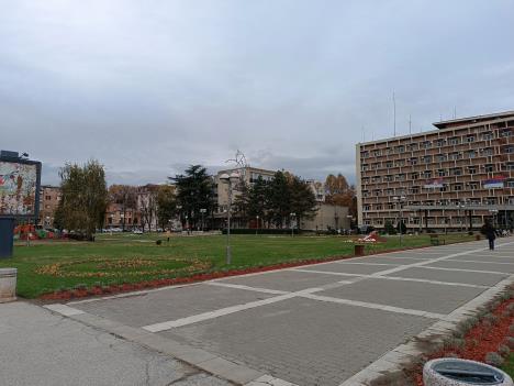 IMG_20231128_122225.jpg