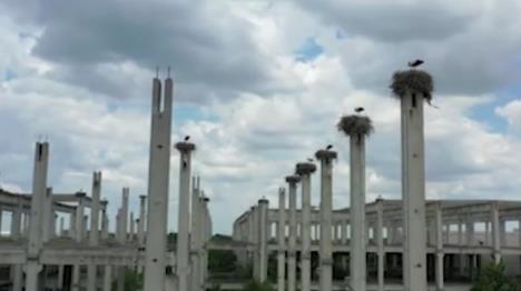 Screenshot 2025-08-06 163426.png