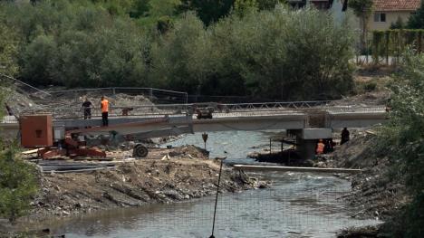 Sequence 01.02_19_49_07.Still008.jpg