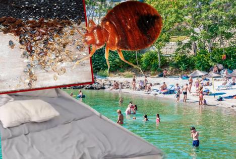 Ubod stenica na moru