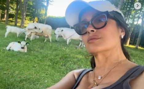 Salma Hajek na farmi među kravama