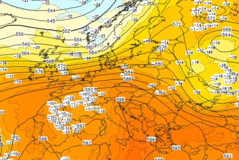 Screenshot 2025-08-09 170355.jpg