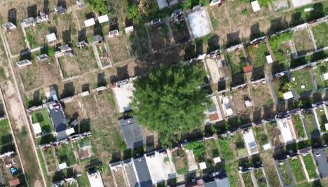 Screenshot 2025-08-09 180550.png