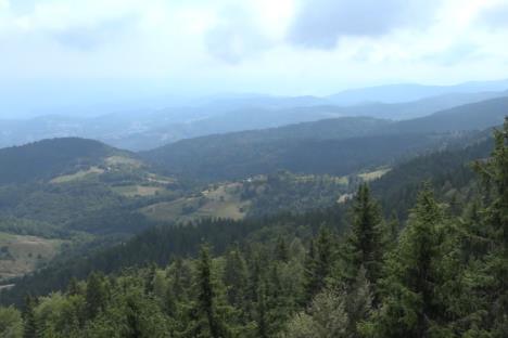 Kamena gora - Vidikovac na skoro 1500 mnv (1).jpg