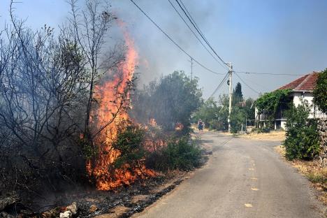 Požar u Crnoj Gori
