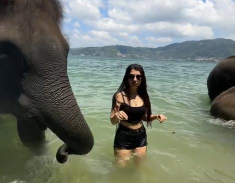Snimak turistkinje sa Tajlanda, koju je slon iznenadio zagrljajem surle