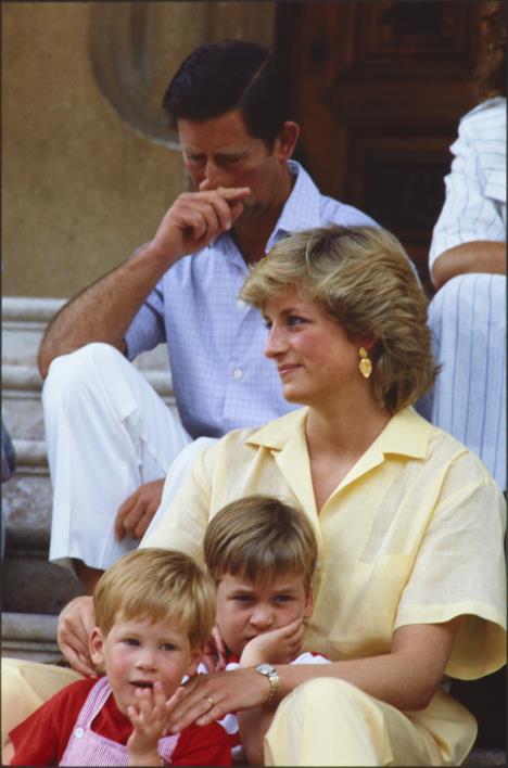 princeza Dajana, princ Hari, princ Vilijam