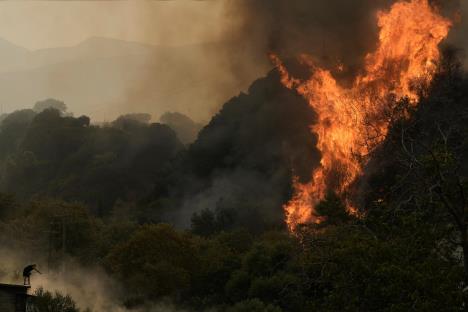 Greece_Wildfires_86239_b.jpg