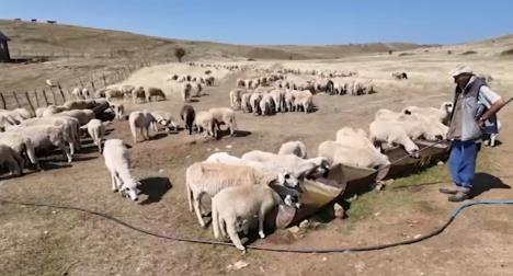 Screenshot 2025-08-13 173350.png