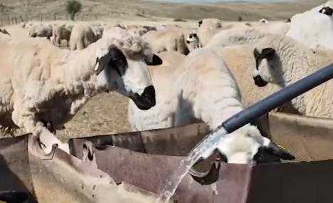 Screenshot 2025-08-13 173331.png