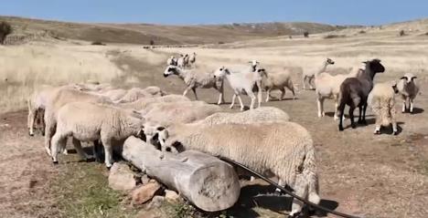 Screenshot 2025-08-13 173322.png