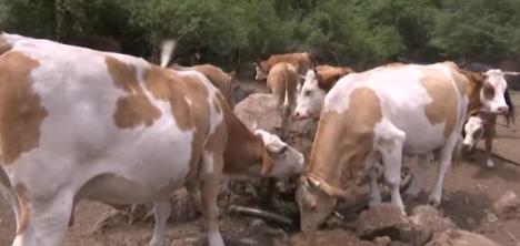 Screenshot 2025-08-15 105433.jpg