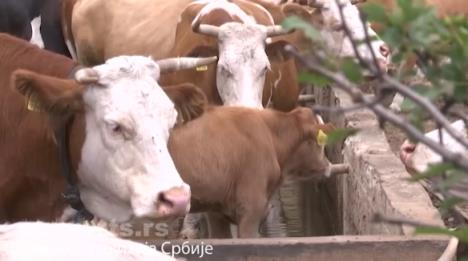 Screenshot 2025-08-15 105448.png