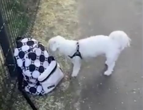 Screenshot 2025-08-15 195142.jpg