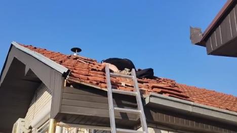 Vladica Stanković.JPG