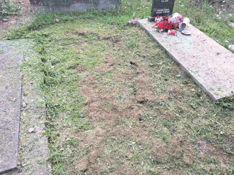 0701 darko stojanovic privatna arhiva (1).jpg