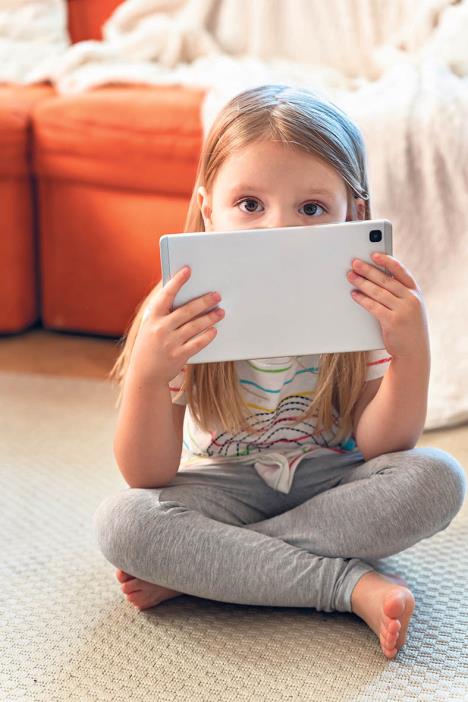 brejnrot  shutterstock.jpg