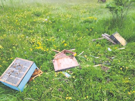 0803 privatna arhiva.jpg