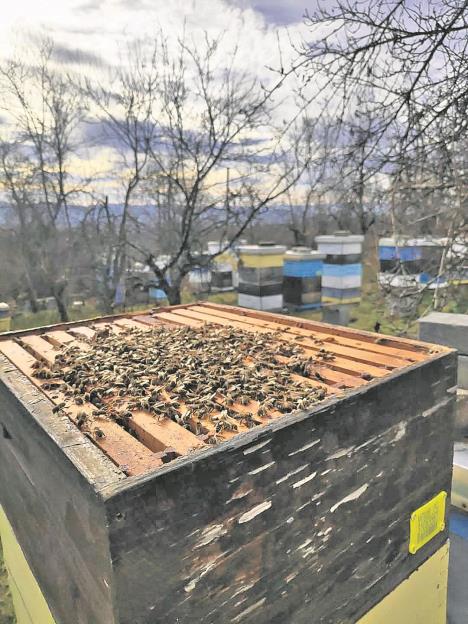 0804 privatna arhiva (4).jpg