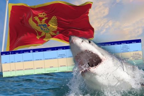 Ajkula Crna gora.jpg