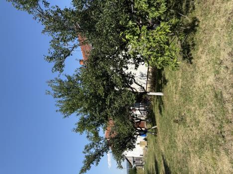 1601 radojka zivkovic privatna arhiva (3).jpeg