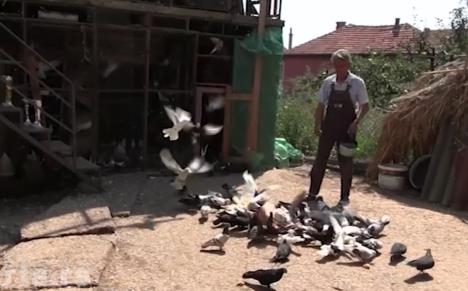 Screenshot 2025-08-20 142559.jpg