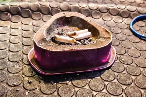 cigare.jpg