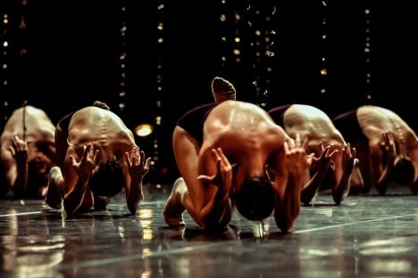 Bolero . Maša Kolar.JPG