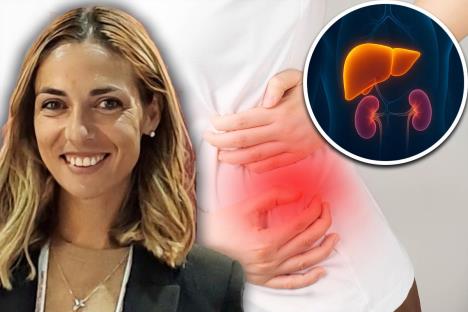 Bol u predelu bubrega i jetre, maketa jetre i bubrega/Dr Ivana Gmizić, infektolog