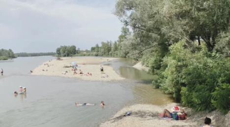 crna bara drina.jpeg