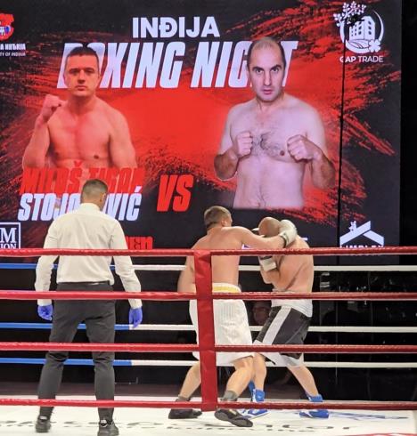 Miloš Stojanović Tigar