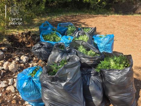 WhatsApp slika 2025-08-24 u 17.38.09_a05dd1f8.jpg