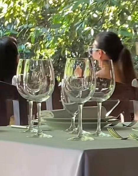 Svetlana Ceca Ražnatović (2).jpeg